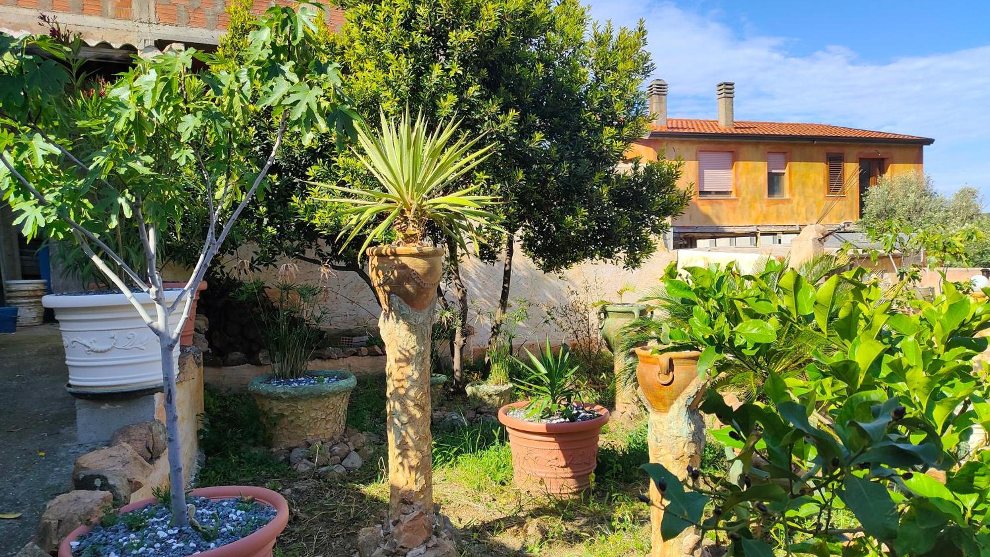 Casa Gaudi - House & Rooms テウラーダ エクステリア 写真